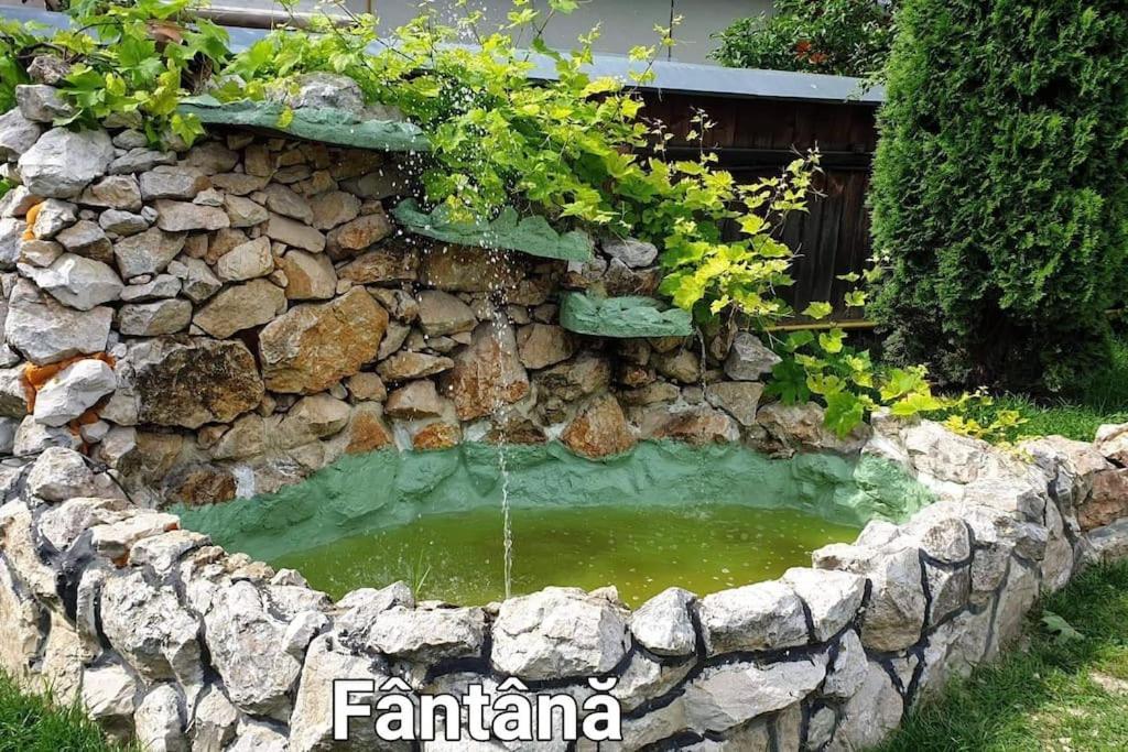 Ciprians' Home Négyfalu Kültér fotó